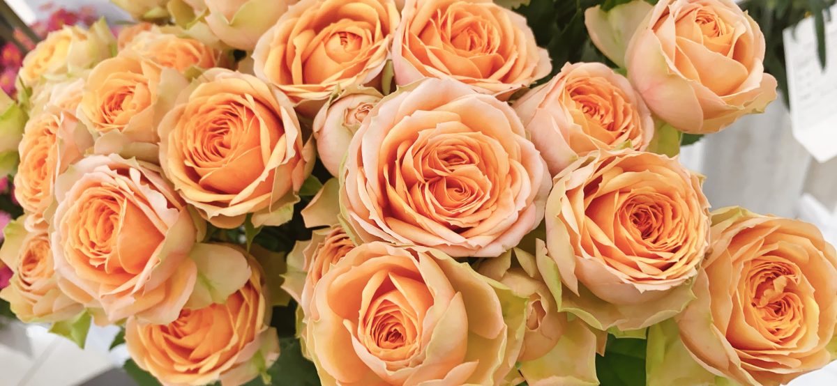 フラワーアレジメント教室開催